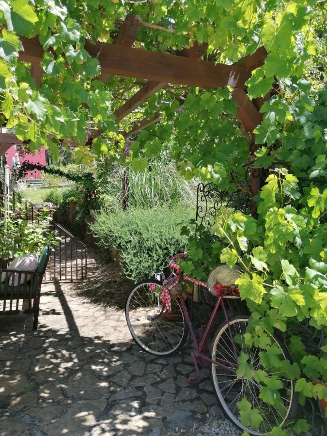 ארנס דה סן פדרו Hotel Rural El Marquesito Antigua Casa Carmela מראה חיצוני תמונה