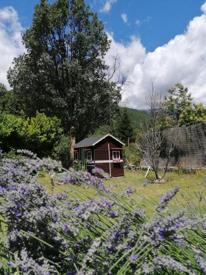 ארנס דה סן פדרו Hotel Rural El Marquesito Antigua Casa Carmela מראה חיצוני תמונה