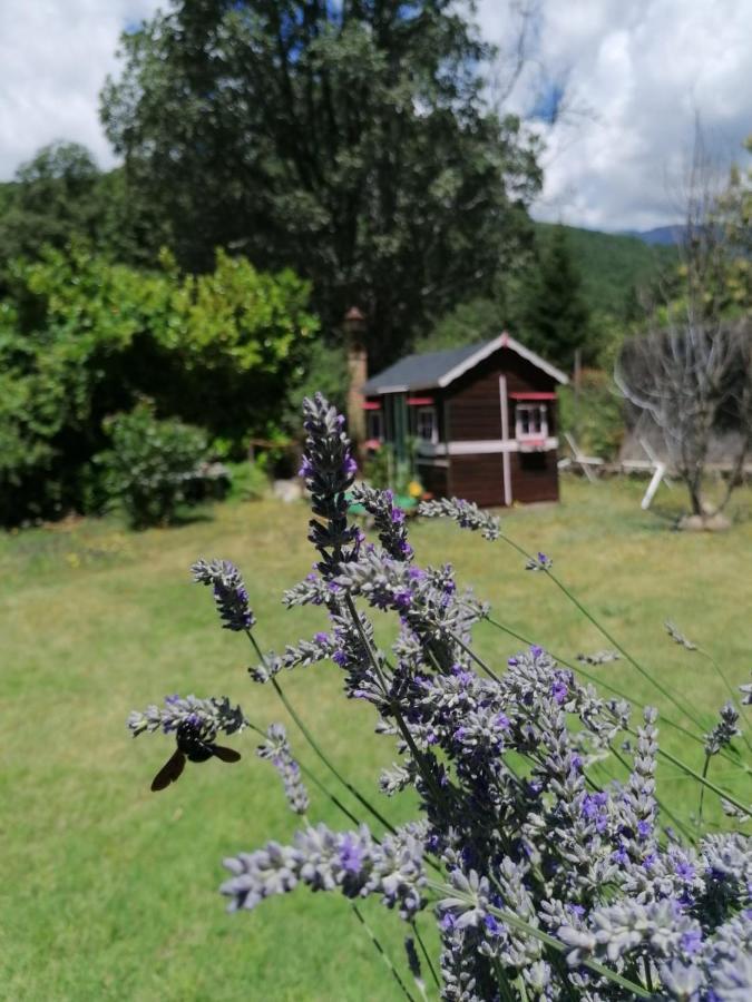 ארנס דה סן פדרו Hotel Rural El Marquesito Antigua Casa Carmela מראה חיצוני תמונה