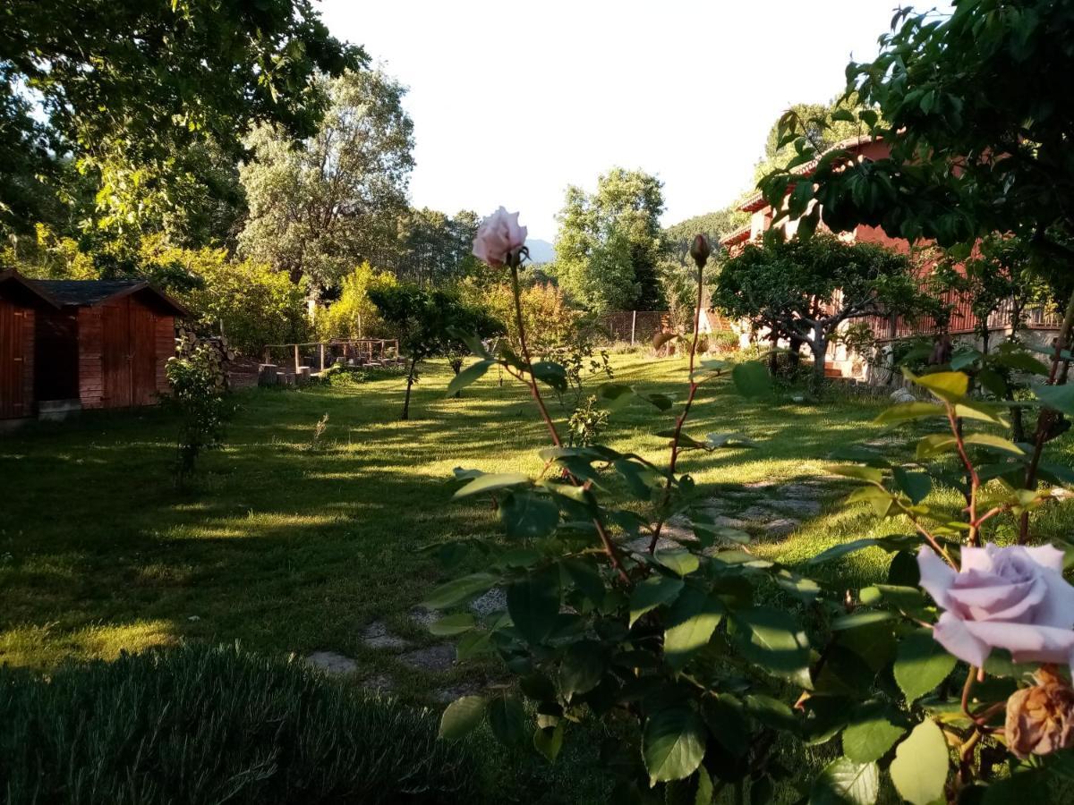 ארנס דה סן פדרו Hotel Rural El Marquesito Antigua Casa Carmela מראה חיצוני תמונה